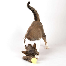 Load image into Gallery viewer, Go Cat Da Fur Pong Cat Toy
