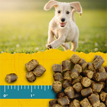 Load image into Gallery viewer, Zuke&#39;s Puppy Naturals Training Dog Treats Lamb &amp; Chickpea Recipe 5oz.
