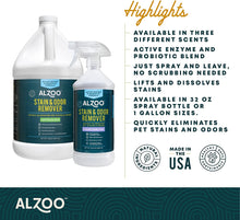 Load image into Gallery viewer, ALZOO Stain and Odor Remover Spray Citrus Vanilla

