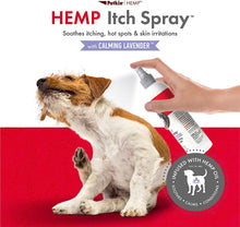 Load image into Gallery viewer, Petkin CBD Pet Itch Spray Calming Lavender
