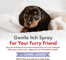 Load image into Gallery viewer, Petkin CBD Pet Itch Spray Calming Lavender
