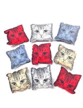 Load image into Gallery viewer, Go Cat Catnip Pillow Cat Toy
