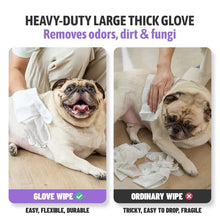 Load image into Gallery viewer, HICC PET Deodorizing Pet Glove Wipes 20 pc
