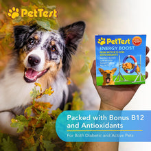 Load image into Gallery viewer, PetTest Energy Boost with B-12 and Antioxidants 3 x 10ml Tubes
