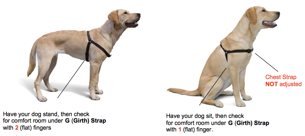 Sense ation harness sales fitting