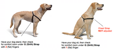 Load image into Gallery viewer, The Original Sense-ation No-Pull Dog Training Harness Medium/Large 1&quot; Brown
