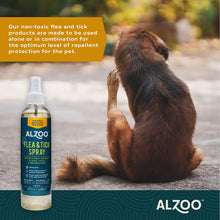 Load image into Gallery viewer, ALZOO Flea &amp; Tick Repellent Spray for Dogs 8 oz.
