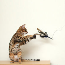 Load image into Gallery viewer, Go Cat Da Bird Cat Toy Refill Accessories, Da Bird
