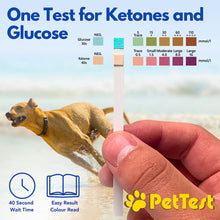 Load image into Gallery viewer, PetTest Urine Test Strips Ketone Glucose Strips for Dogs and Cats (50 count)
